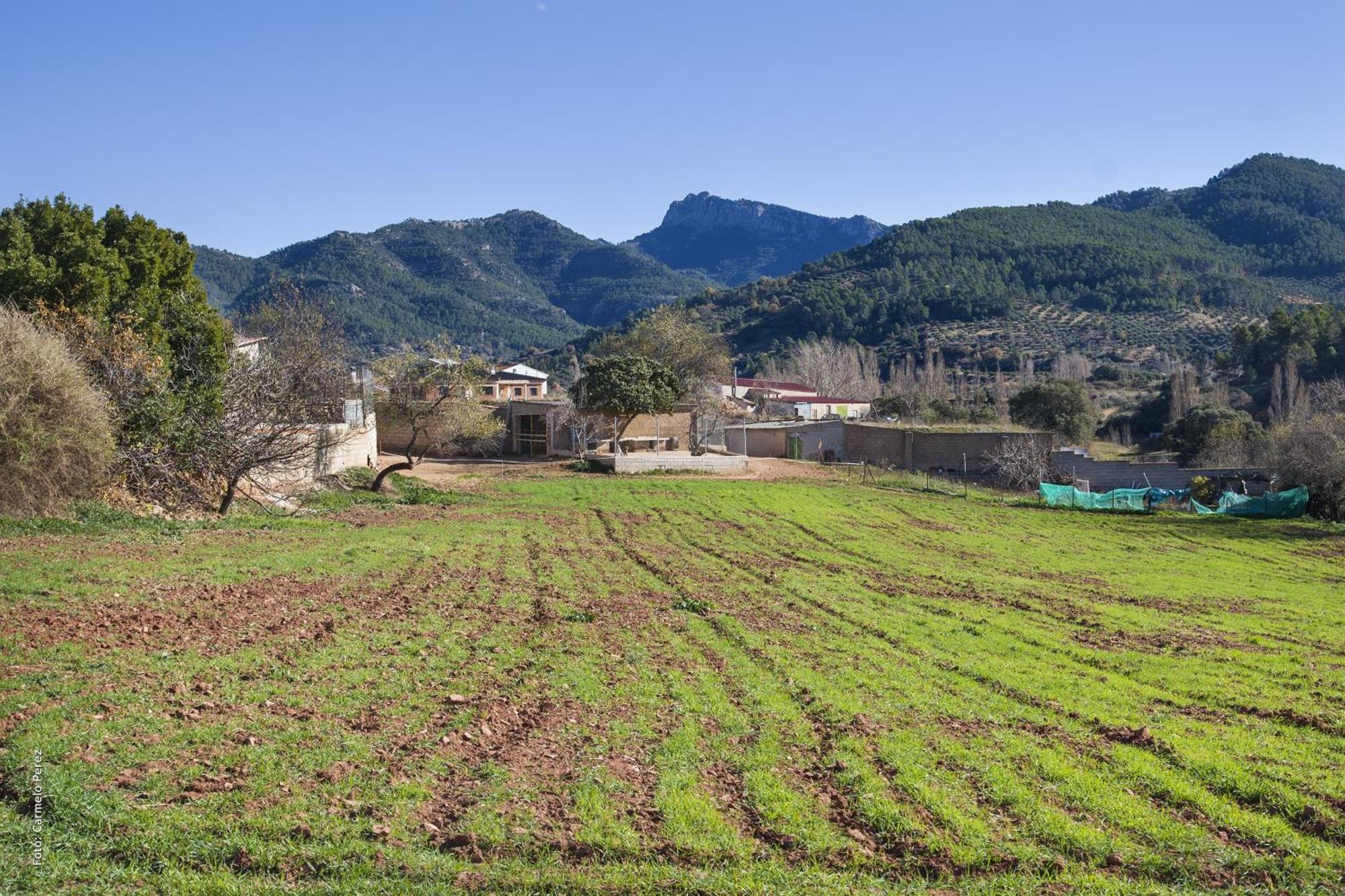 Casa Rural Chache Casto Bienservida المظهر الخارجي الصورة